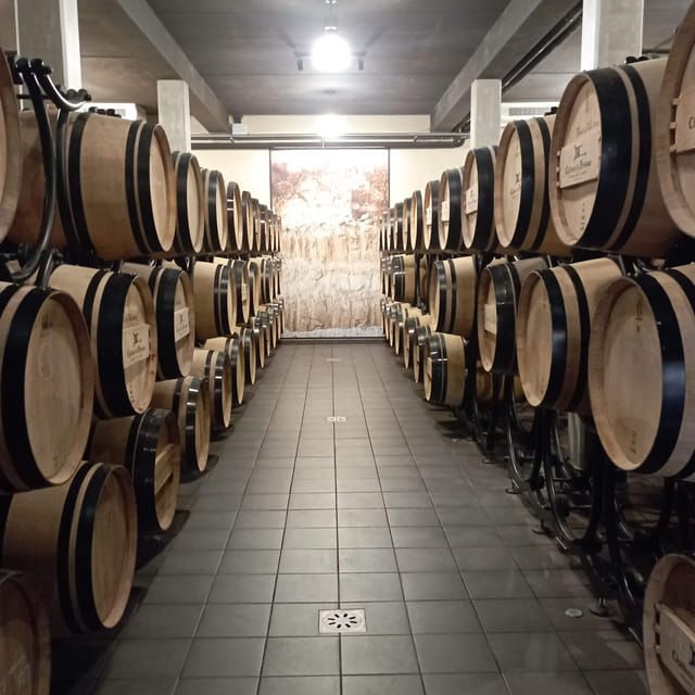wine-tour-the-beauty-and-flavors-of-bordeaux-vineyards