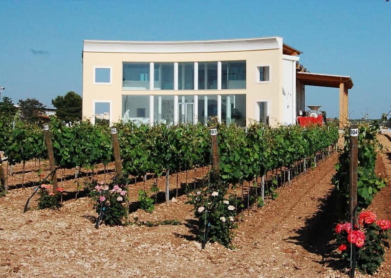 Wine Tour "The pearls of Manduria" - FAQ