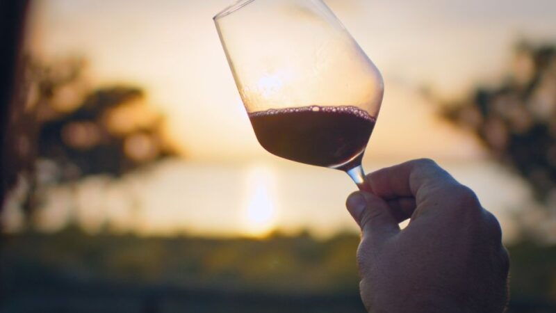 wine-tour-through-the-vineyards-with-tasting-by-salt-lake