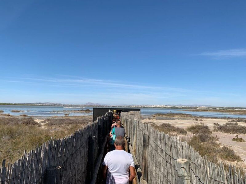wine-tour-through-the-vineyards-with-tasting-by-salt-lake