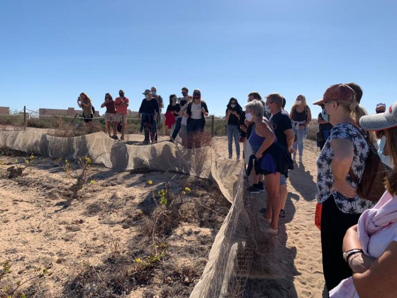 wine-tour-through-the-vineyards-with-tasting-by-salt-lake