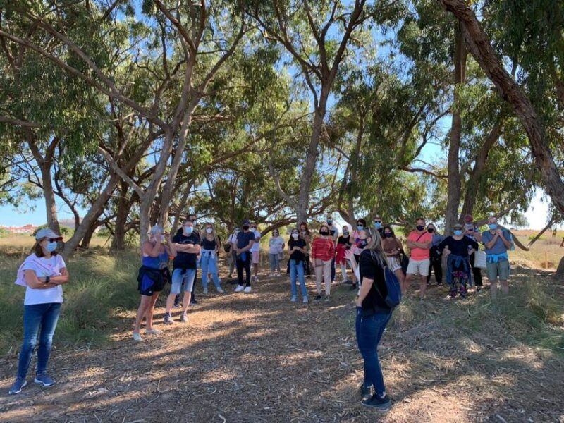 wine-tour-through-the-vineyards-with-tasting-by-salt-lake