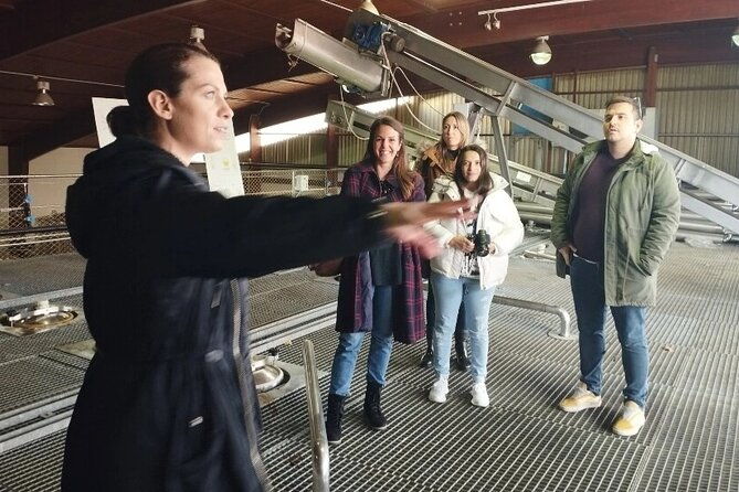 wine-tour-to-nemea-and-nafplio