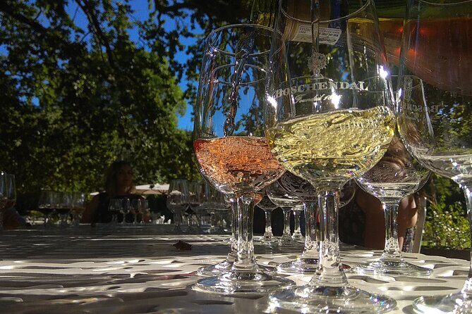 Wine Tour to Stellenbosch & Franschhoek with Tastings & Lunch - Key Points