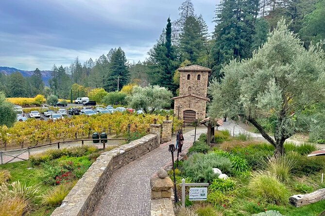 wine-tour-transportation-services-in-napa-valley