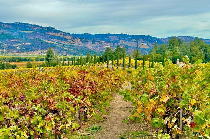 wine-tour-transportation-services-in-napa-valley