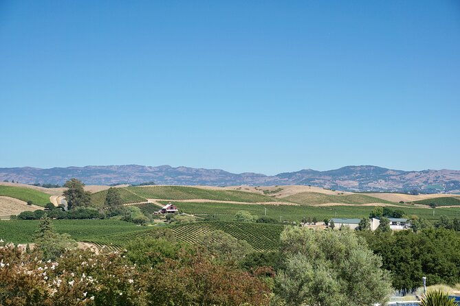 wine-tour-transportation-services-in-napa-valley