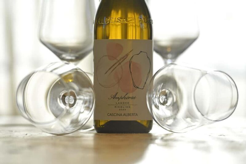 Wine Tour.Visit a Small Organic Winery in the Langhe/Cascina Alberta - Key Points