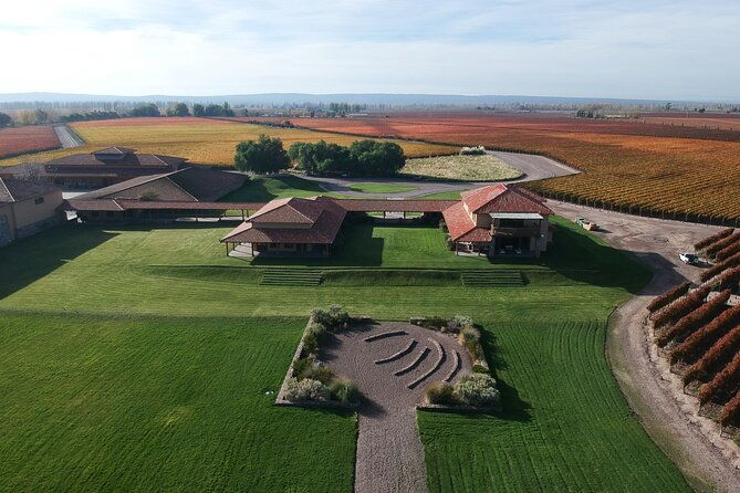 wine-tour-with-lunch-and-transport-in-mendoza