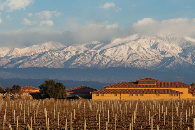wine-tour-with-lunch-and-transport-in-mendoza