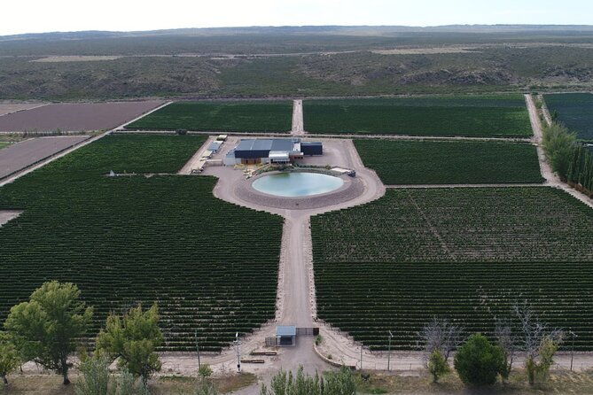 wine-tour-with-lunch-and-transport-in-mendoza