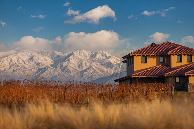 wine-tour-with-lunch-and-transport-in-mendoza