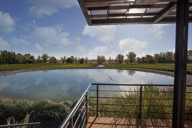 wine-tour-with-lunch-and-transport-in-mendoza