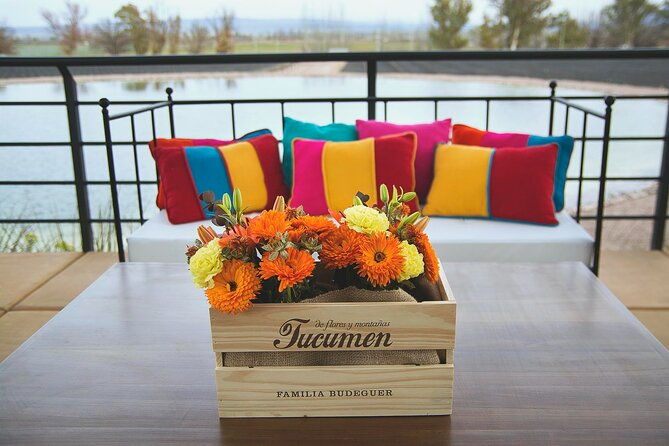 wine-tour-with-lunch-and-transport-in-mendoza