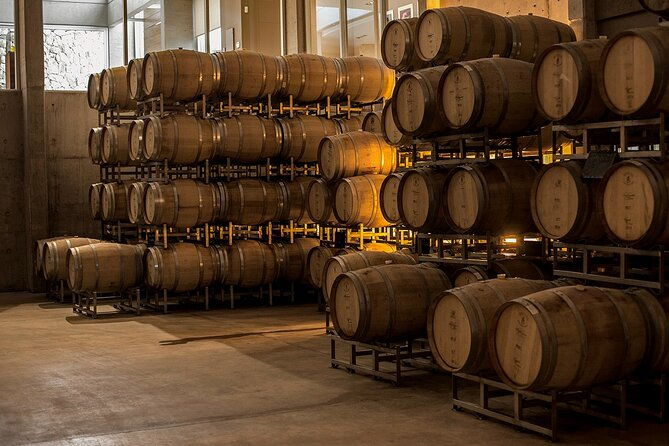 wine-tour-with-lunch-and-transport-in-mendoza