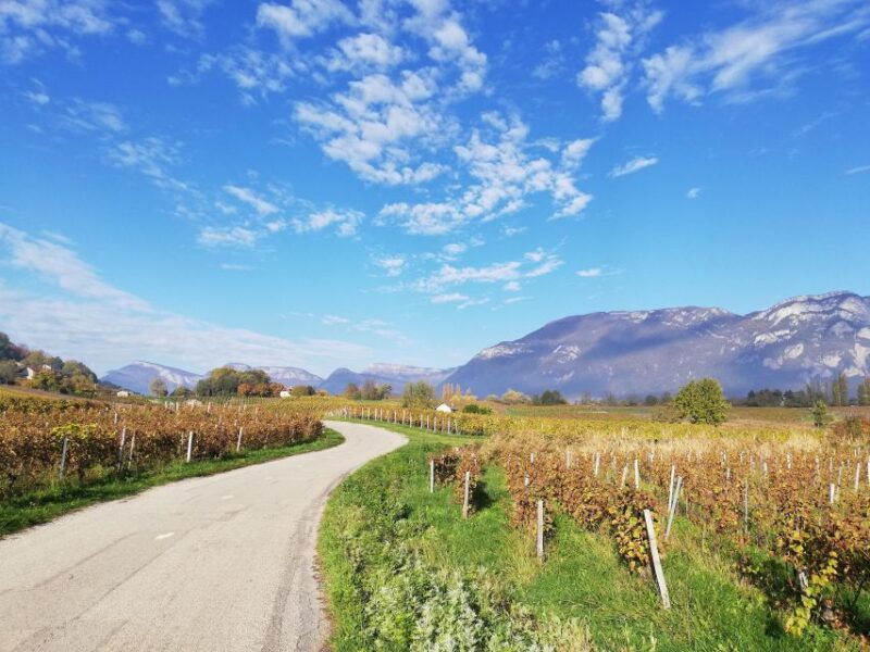 wine-tour-with-private-driver-10-hours