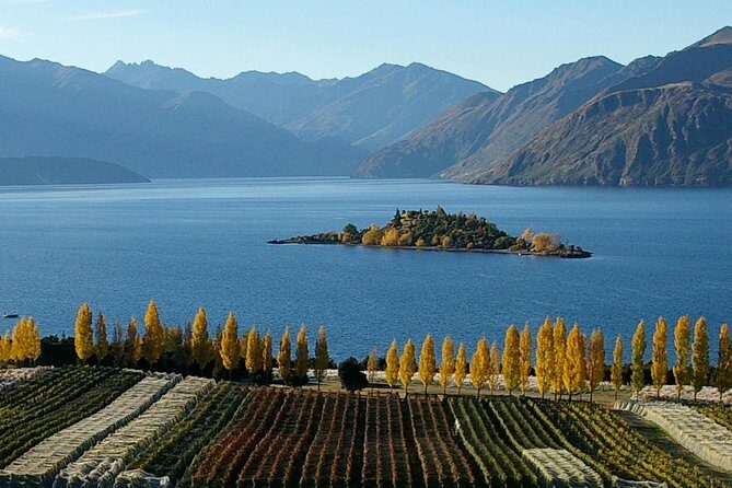 Wine Tour with Wine Tasting from Wanaka - The Itinerary: What to Expect from Start to Finish