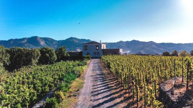 wine-tour-with-wine-tasting