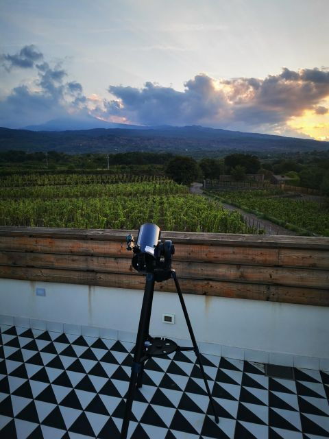 wine-tour-with-wine-tasting