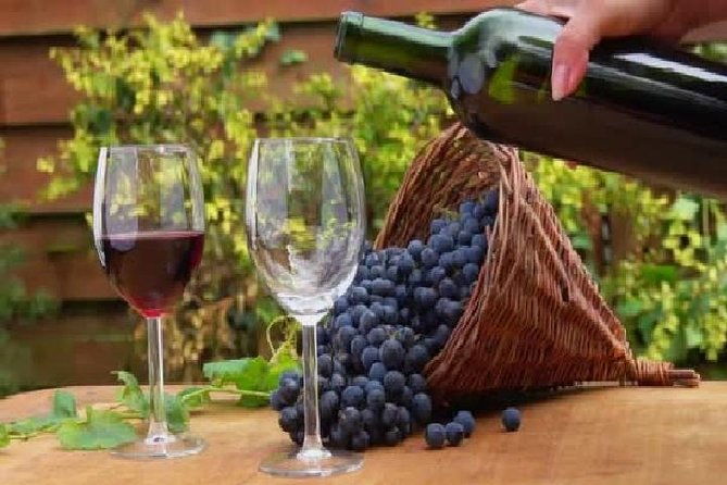 wine-tours-in-wine-country-mendoza-argentina