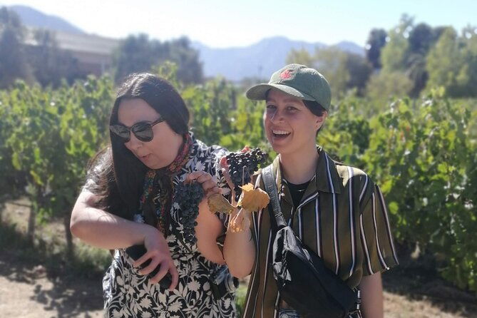 wine-tours-wine-tastin-wine-lovers-and-lunch