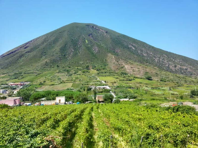 Wine Trekking in Salina: Walk and Tasting of Local Products - FAQs