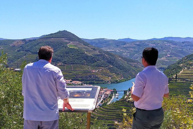 wine-venture-and-boat-trip-in-douro-valley-from-porto