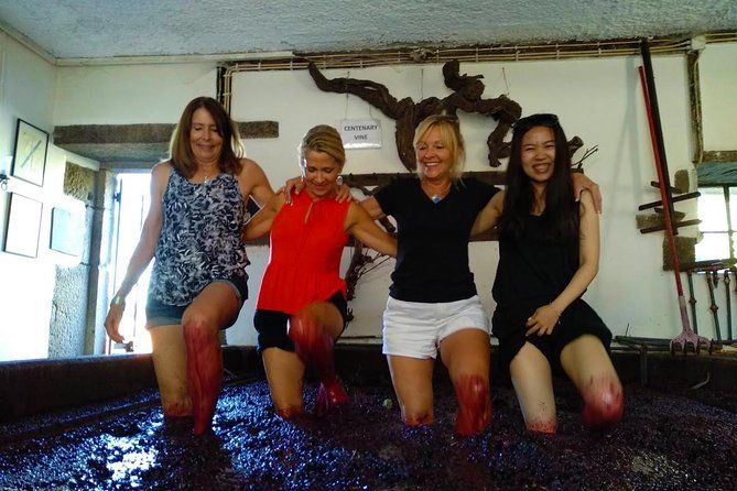 wine-venture-and-boat-trip-in-douro-valley-from-porto