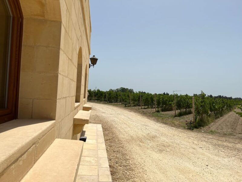 wine-with-maltese-grapes-tour-in-portuguese