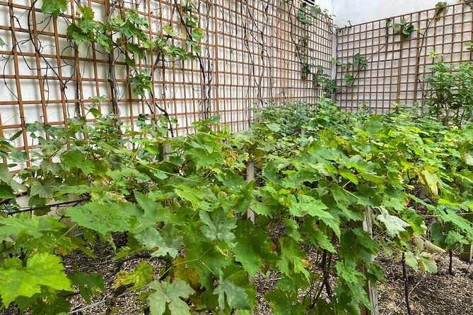 wine-your-way-through-the-marais