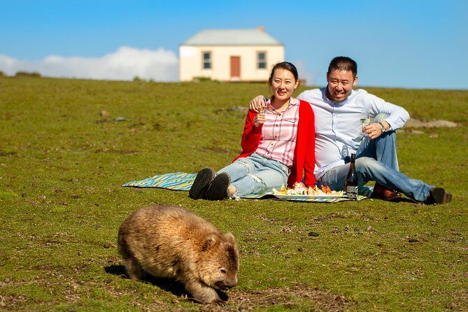 Wineglass Bay And Maria Island Wildlife Scenic Flight From Hobart - Key Points