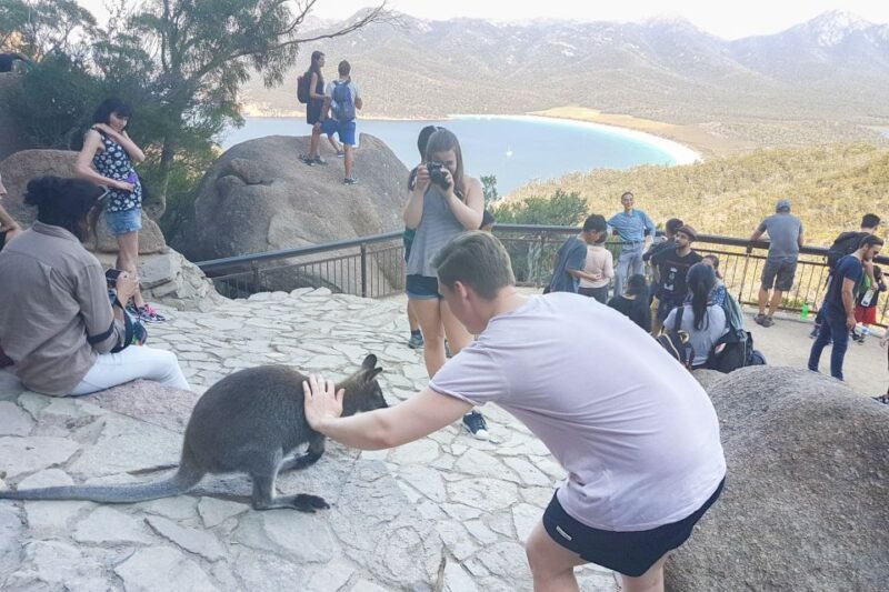 Wineglass Bay & Freycinet National Park Day Trip from Hobart - Final Thoughts