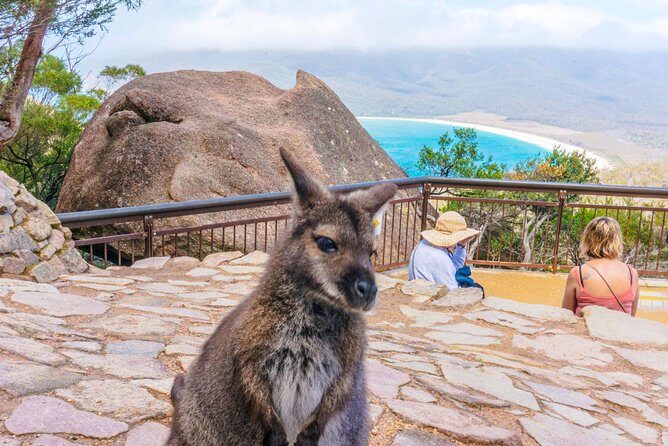 Wineglass Bay & Freycinet NP Full Day Tour from Hobart via Richmond Village - Why This Tour Truly Shines