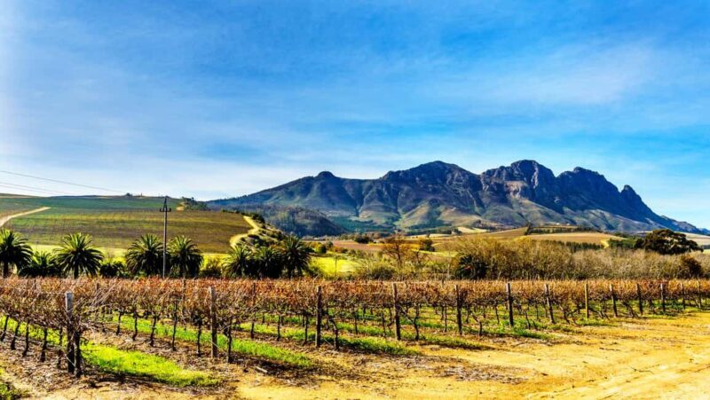 Wineland wonders: Cape Towns exquisite journey - Key Points