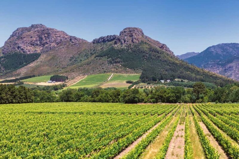 Wineland wonders: Cape Towns exquisite journey - An In-Depth Look at the Wineland Wonders Tour