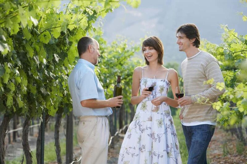 Wineland wonders: Cape Towns exquisite journey - FAQs