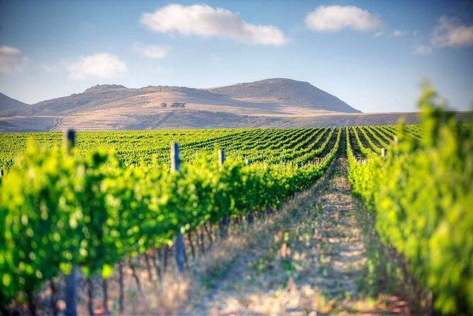 Winelands Full Day Tour - Transportation, Group Size, and Overall Experience