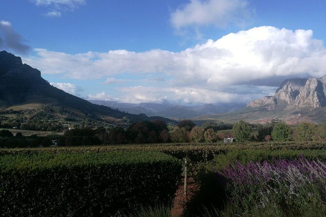 Winelands Full Day Tour - FAQs
