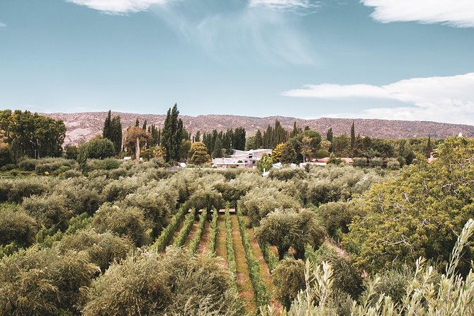 winemaker-led-private-exclusive-wine-tour-gourmet-lunch