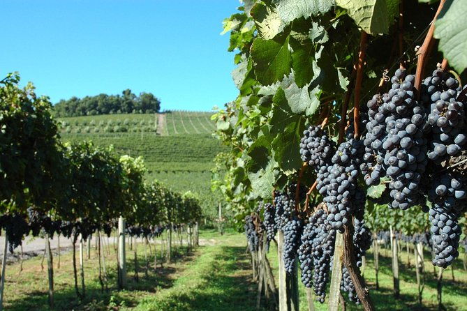 wineries-of-the-south-maria-fumaca-train-and-italian-epic-park