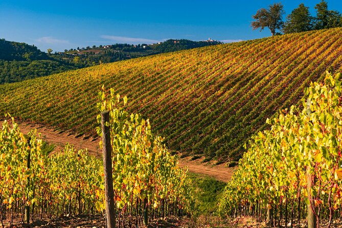wineries-tour-and-wine-tastings-in-chianti-hills-from-florence-3