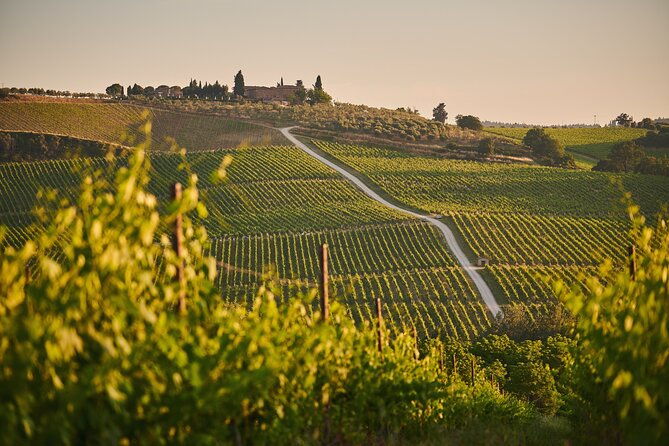 wineries-tour-and-wine-tastings-in-chianti-hills-from-florence-4