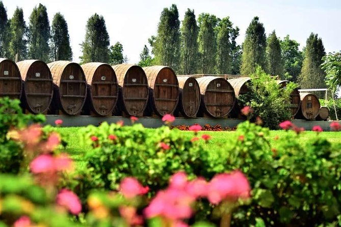 winery-and-pisco-distillery-tour