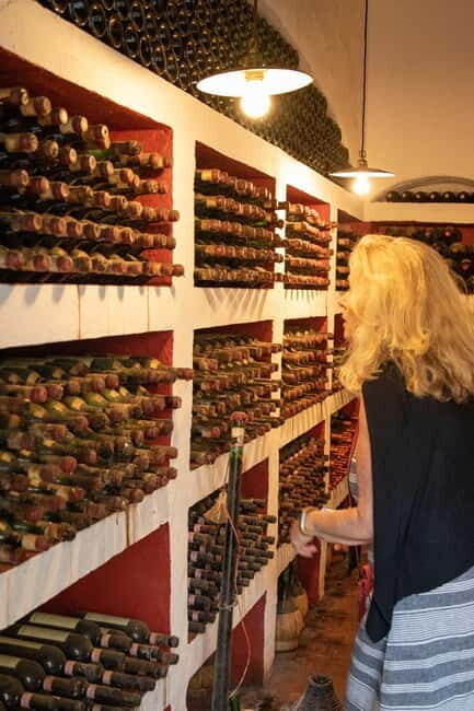 WINERY AND VINSANTAIA TOUR + TASTING + PLATTER - Why This Tour Offers Great Value