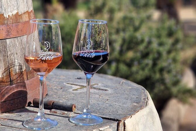 winery-and-wine-tasting-tour-elche-in-van-with-tapas-half-day