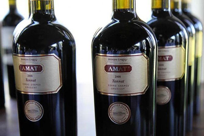 winery-carrau-visit-and-tasting