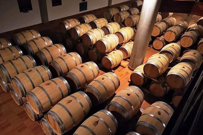 winery-tasting-in-marsala-and-mothia-lagoon-tour