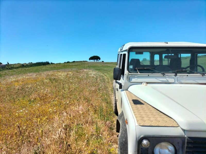 winery-tastings-4wd-vineyards-half-day-trip-from-lisbon