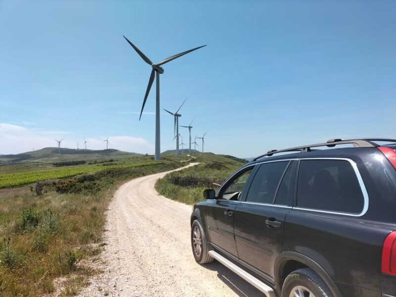 winery-tastings-4wd-vineyards-half-day-trip-from-lisbon