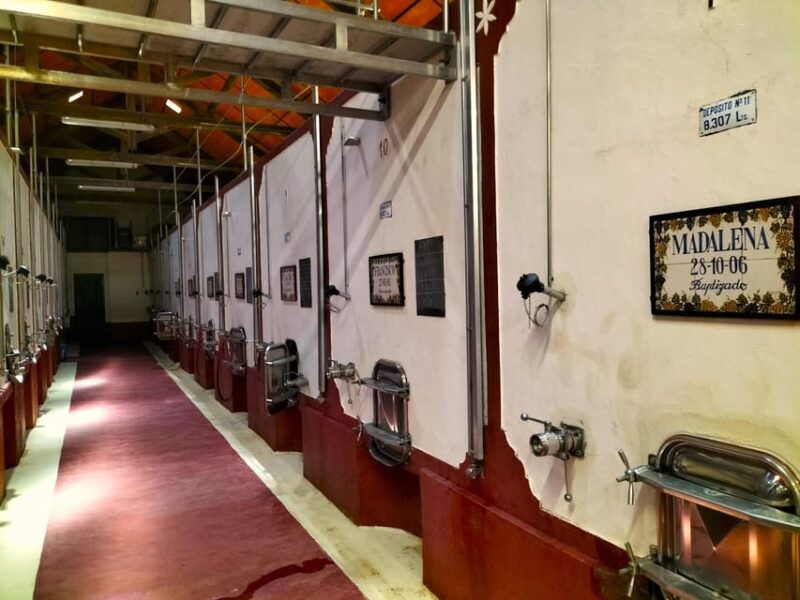 winery-tastings-4wd-vineyards-half-day-trip-from-lisbon